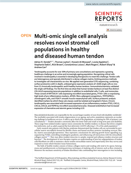 Multi-Omic Single Cell Analysis Resolves Novel Stromal Cell
