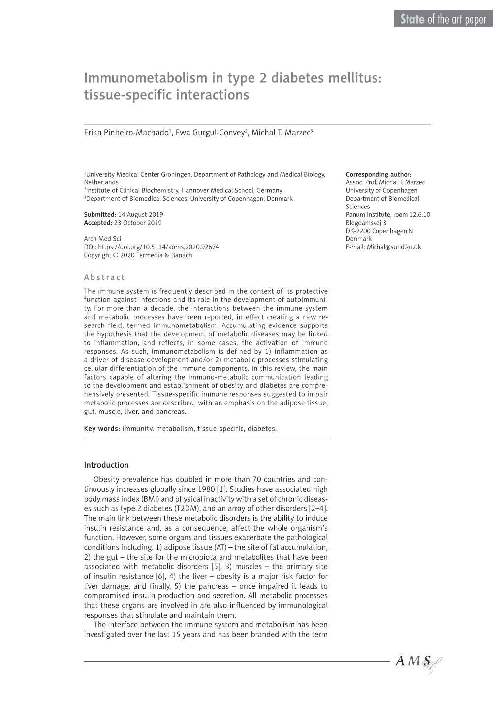 Immunometabolism in Type 2 Diabetes Mellitus: Tissue-Specific Interactions