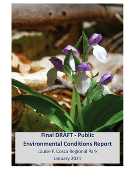 Final DRAFT - Public Environmental Conditions Report Louise F