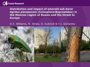 Distribution and Impact of Emerald Ash Borer Agrilus Planipennis (Coleoptera:Buprestidae) in the Moscow Region of Russia and the Threat to Europe