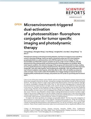 Microenvironment-Triggered Dual-Activation of a Photosensitizer