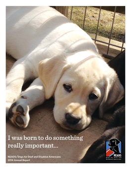 2014 Annual Report ...To Be Meaghan’S Social Dog