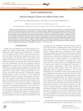 Vesicular Release of Ebola Virus Matrix Protein VP40