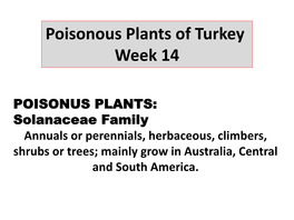 Poisonous Plants of Turkey Week 14