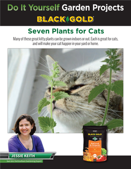 Seven Plants for Cats Many of These Great Kitty Plants Can Be Grown Indoors Or Out