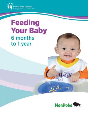 Feeding Your Baby 6 Months to 1 Year