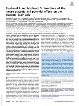 Bisphenol a and Bisphenol S Disruptions of the Mouse Placenta and Potential Effects on the Placenta–Brain Axis