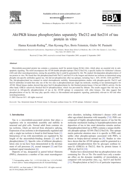 Akt/PKB Kinase Phosphorylates Separately Thr212 and Ser214 of Tau Protein in Vitro