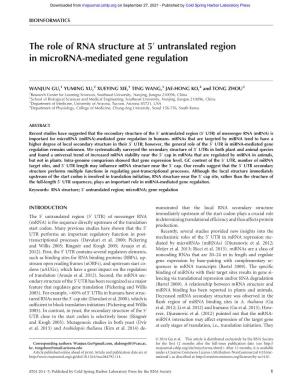 The Role of RNA Structure at 5 Untranslated Region in Microrna