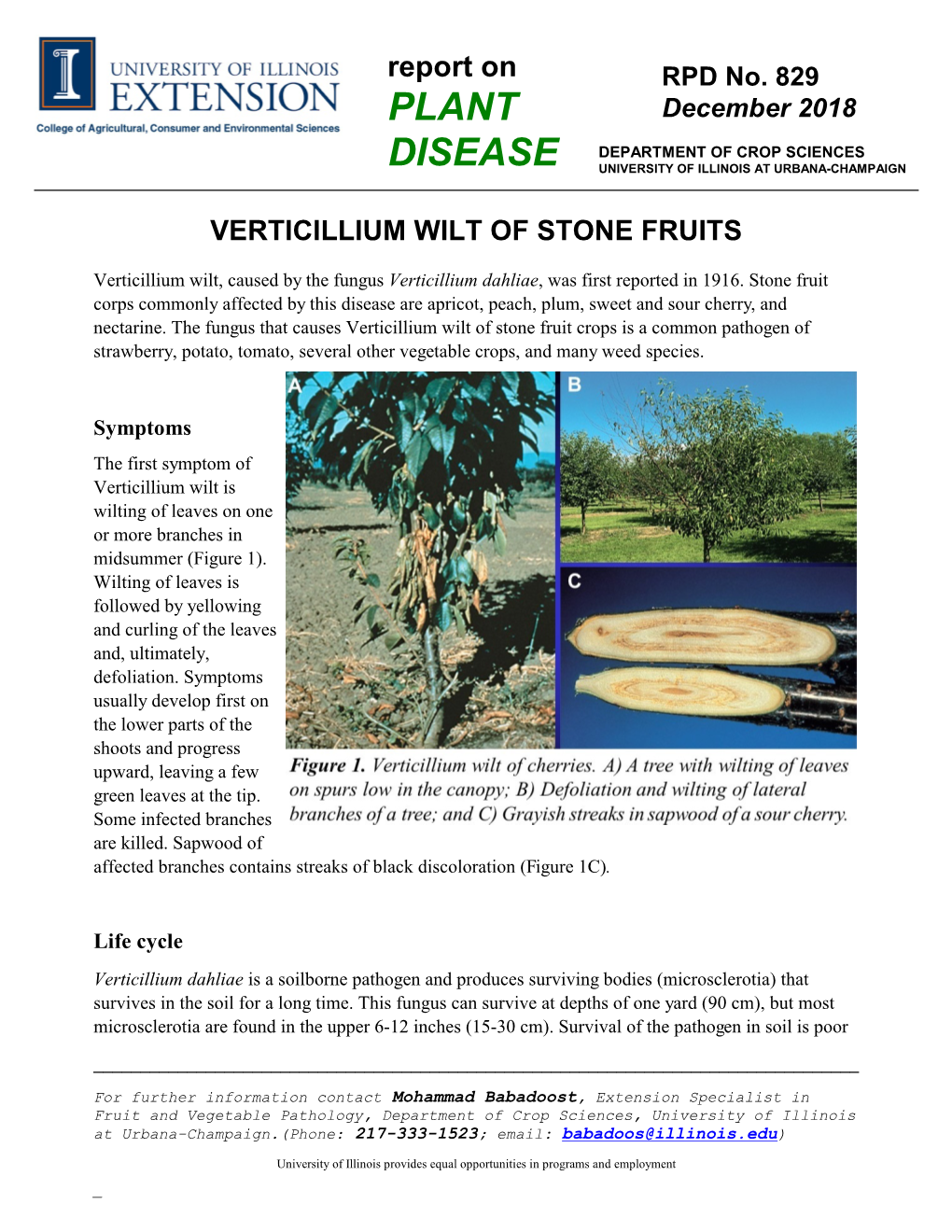 Verticillium Wilt of Stone Fruits