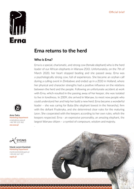 Erna Returns to the Herd