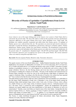 Diversity of Puntius (Cyprinidae: Cypriniformes) from Lower Anicut, Tamil Nadu