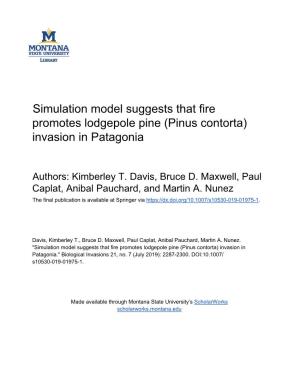 Simulation Model Suggests That Fire Promotes Lodgepole Pine (Pinus Contorta) Invasion in Patagonia