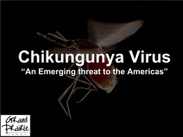 Chikungunya Virus “An Emerging Threat to the Americas”