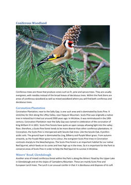Coniferous Woodland PDF Download