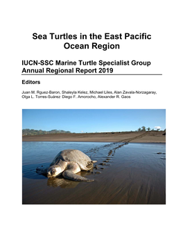 Sea Turtles in the East Pacific Ocean Region