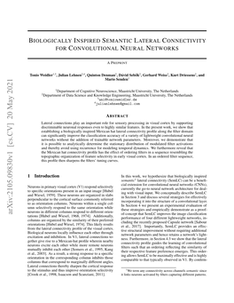 Biologically Inspired Semantic Lateral Connectivity for Convolutional Neural Networks