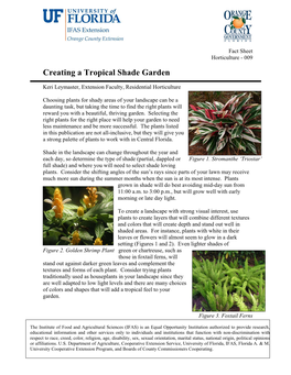 Creating a Tropical Shade Garden