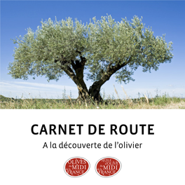 Carnet De Route – a La Découverte De L'olivier