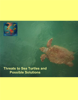 Threats to Sea Turtles and Possible Solutions (.Pdf)