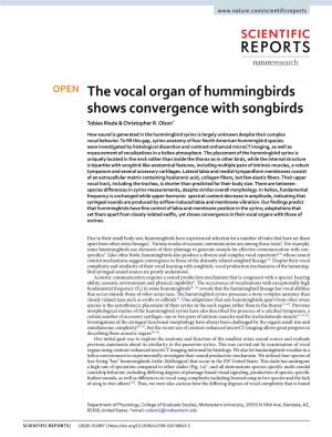 The Vocal Organ of Hummingbirds Shows Convergence with Songbirds Tobias Riede & Christopher R