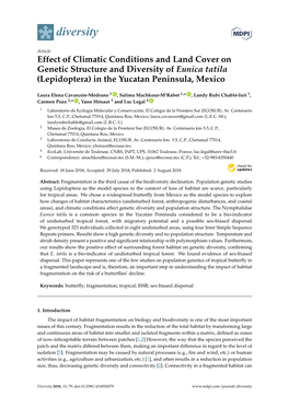 Effect of Climatic Conditions and Land Cover on Genetic Structure and Diversity of Eunica Tatila (Lepidoptera) in the Yucatan Peninsula, Mexico