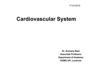 Cardiovascular System [PDF]