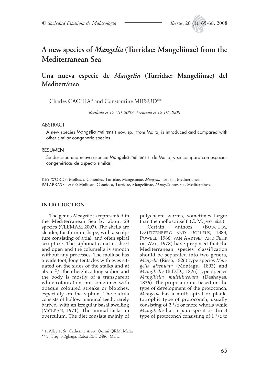 Turridae: Mangeliinae) from the Mediterranean Sea