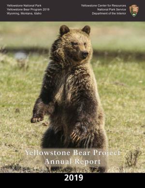 2019 Yellowstone National Park Bear Report