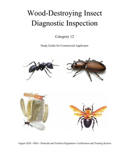Wood-Destroying Insect Diagnostic Inspection