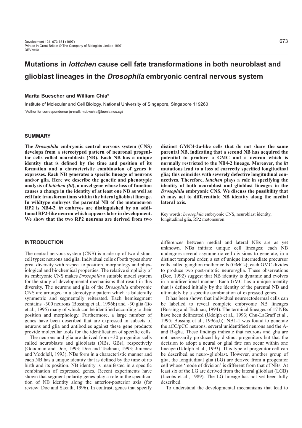 Mutations in Lottchen Cause Cell Fate Transformations in Both Neuroblast and Glioblast Lineages in the Drosophila Embryonic Central Nervous System