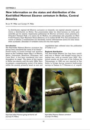 New Information on the Status and Distribution of the Keel-Billed Motmot Electron Carinatum in Belize, Central America