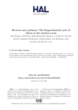 Reviews and Syntheses: the Biogeochemical Cycle of Silicon in the Modern Ocean Paul Tréguer, Jill Sutton, Mark Brzezinski, Matthew A