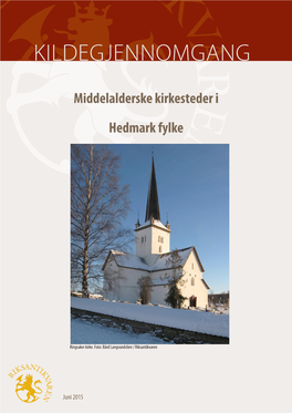 Kirkesteder Hedmark.Pdf (10.59Mb)