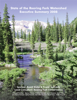 2008 State of the Watershed Report, Executive Summary