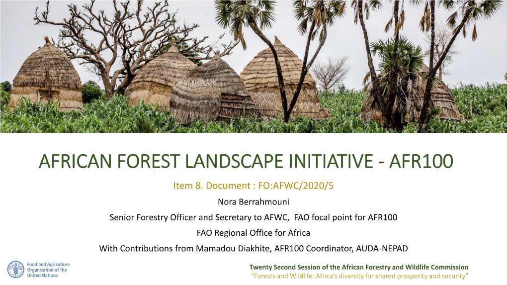 AFRICAN FOREST LANDSCAPE INITIATIVE - AFR100 Item 8