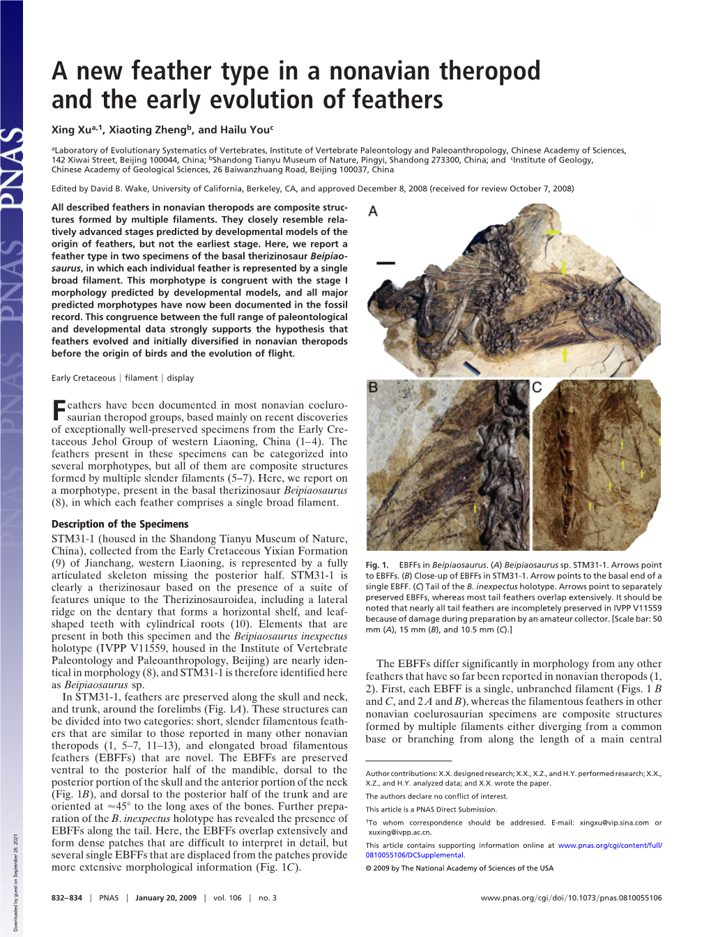 A New Feather Type in a Nonavian Theropod and the Early Evolution of Feathers