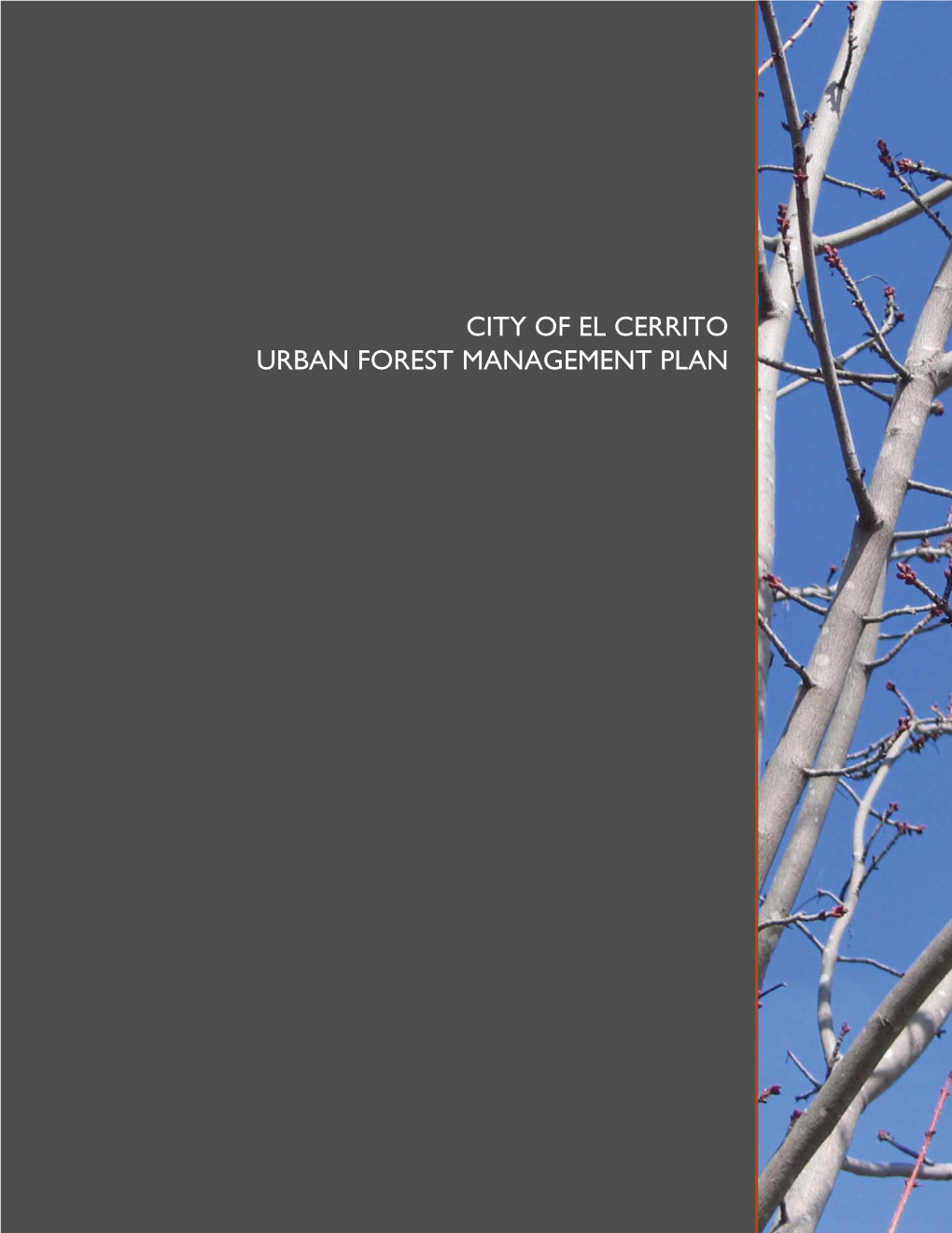 Urban Forest Management Plan