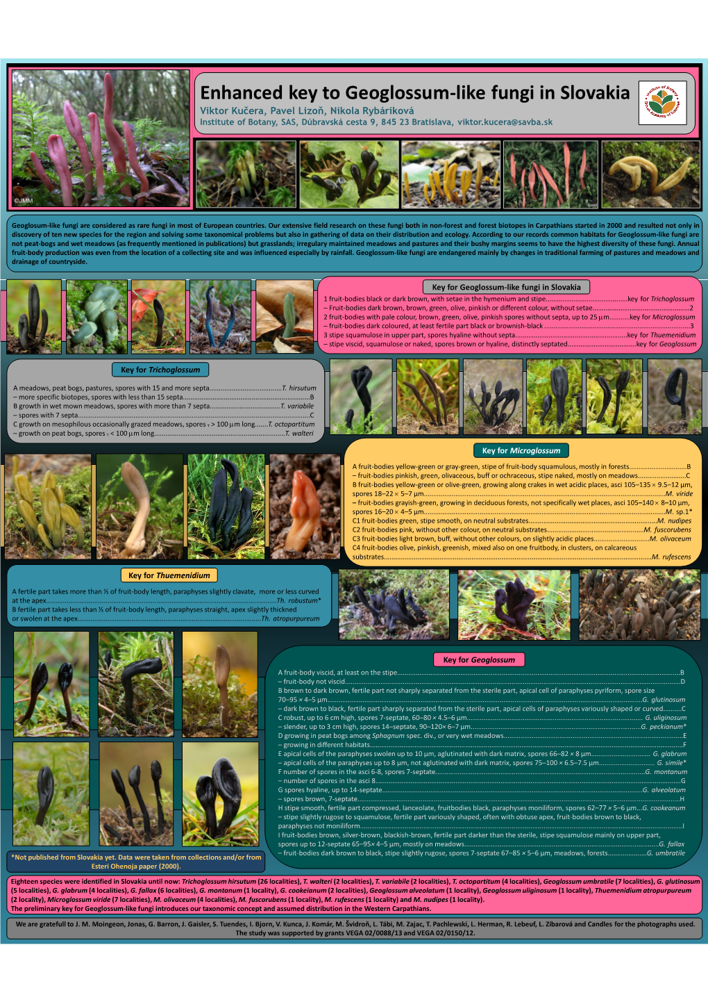 Enhanced Key to Geoglossum-Like Fungi in Slovakia