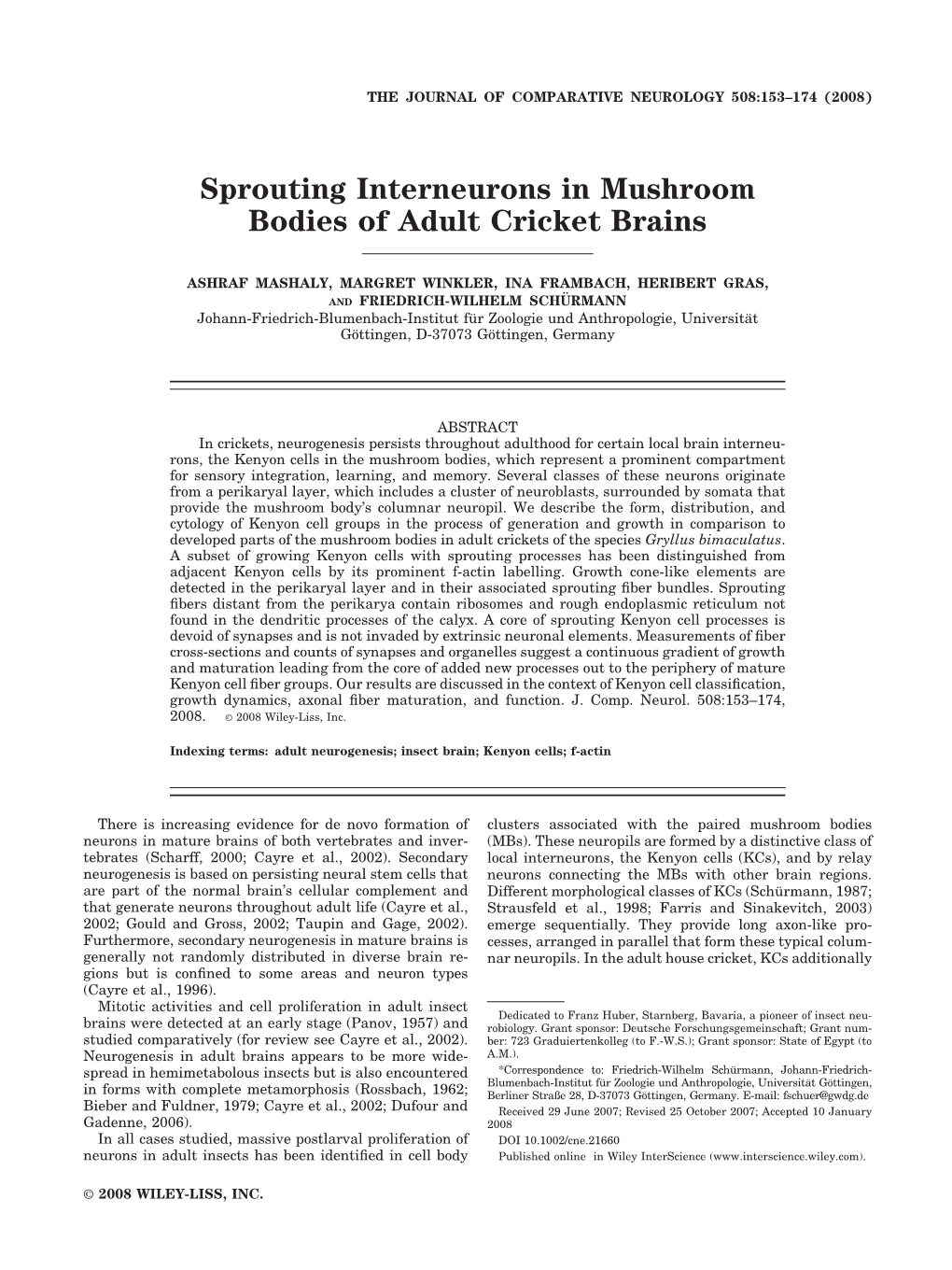 Sprouting Interneurons in Mushroom Bodies of Adult Cricket Brains