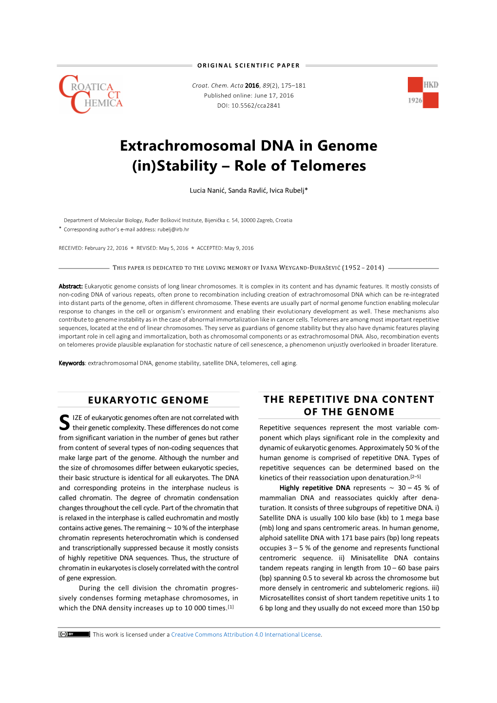 Extrachromosomal DNA in Genome (In)Stability – Role of Telomeres