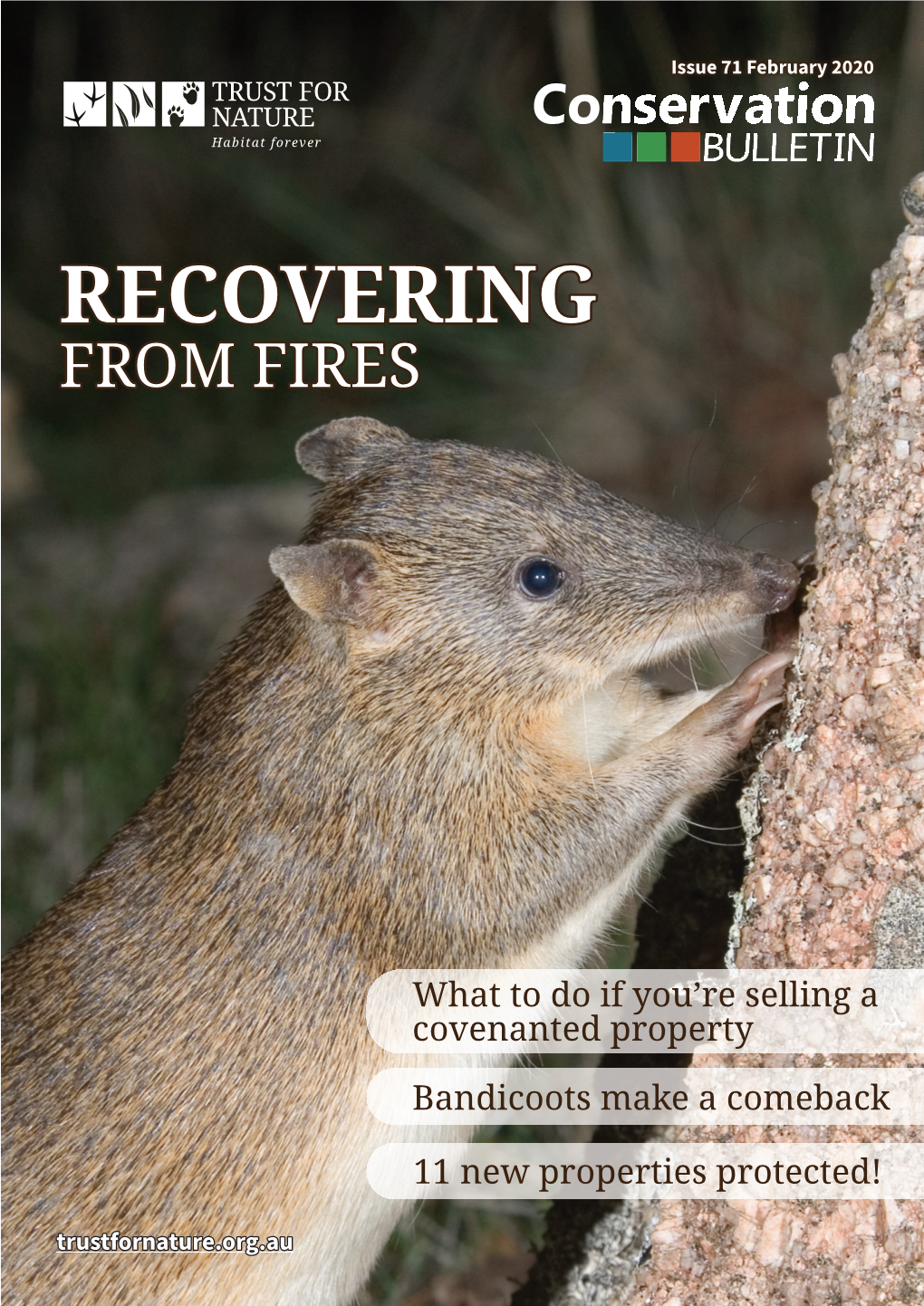 Recovering from Fires