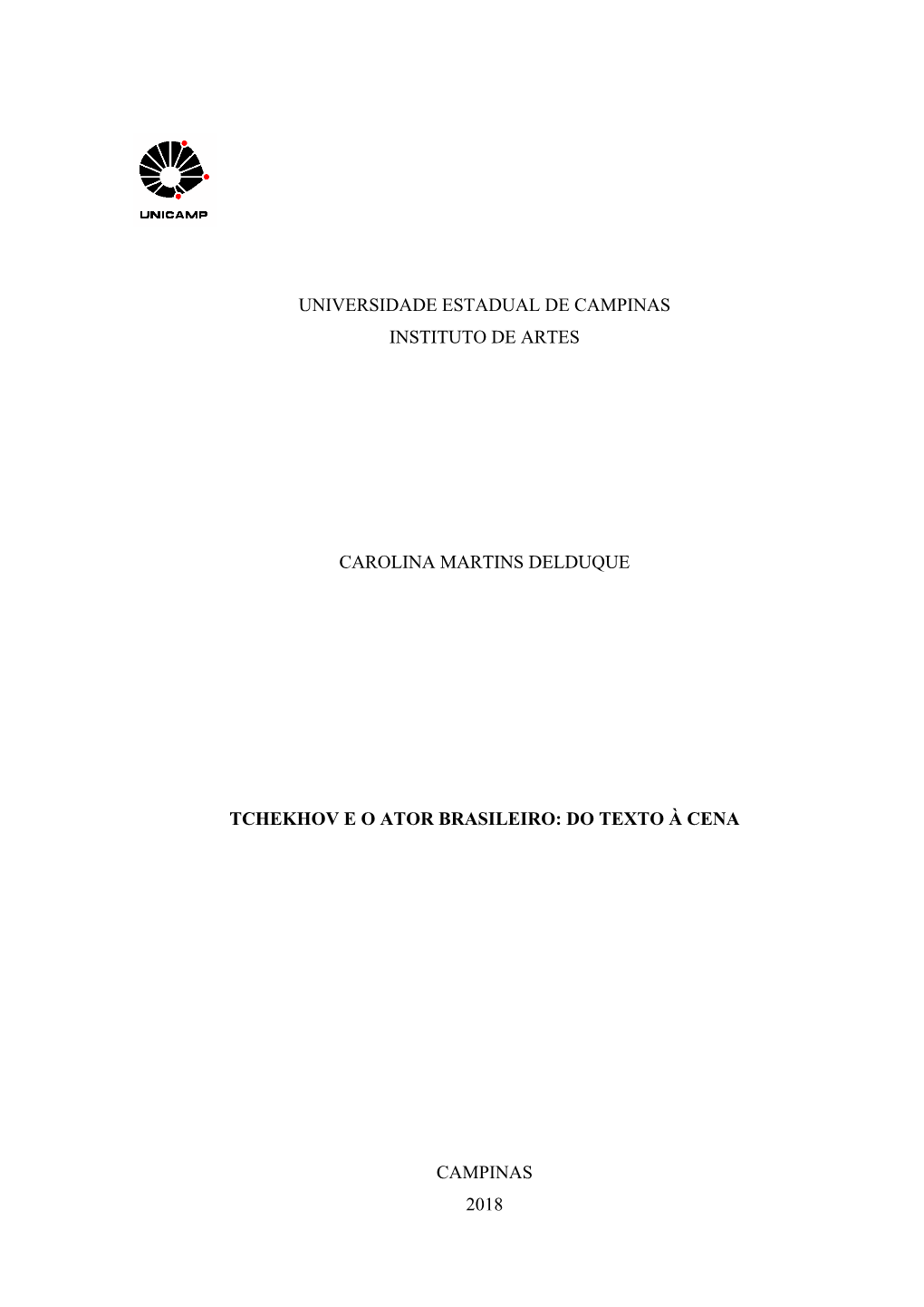 Universidade Estadual De Campinas Instituto De Artes
