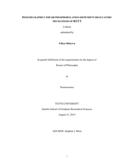 A Thesis Submitted by Liliya Silayeva in Partial