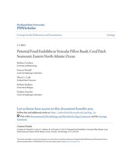 Potential Fossil Endoliths in Vesicular Pillow Basalt, Coral Patch Seamount, Eastern North Atlantic Ocean