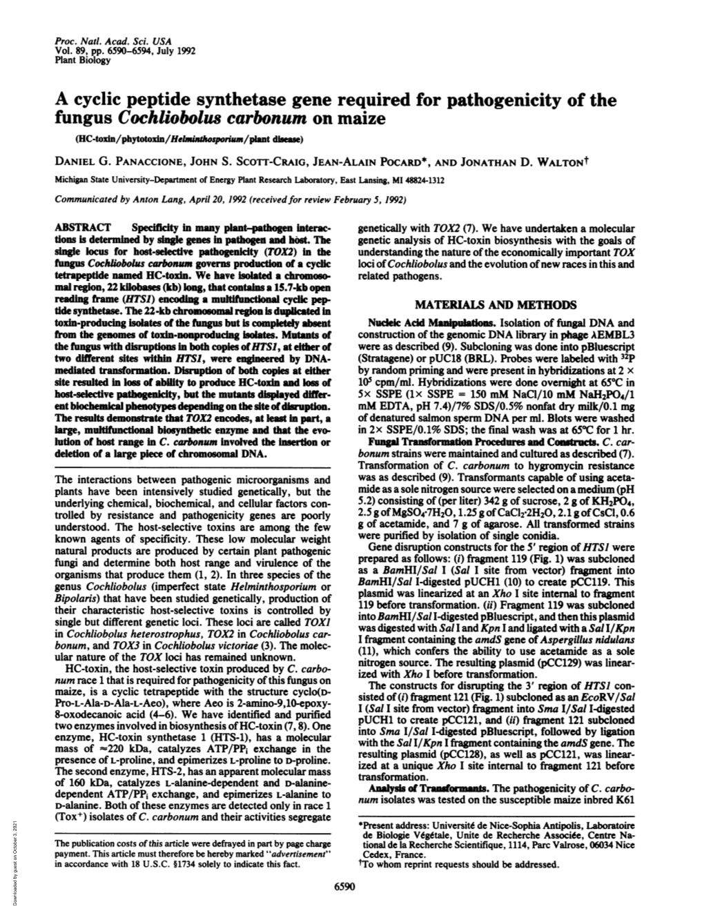Fungus Cochliobolus Carbonum on Maize (HC-Toxln/Phytotoxln/Helnnthosporiun/Plant Disee) DANIEL G