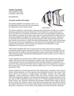 Atlantic Spadefish Chaetodipterus Faber Contributor: Melvin Bell