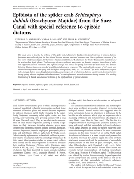 Epibiota of the Spider Crab Schizophrys Dahlak (Brachyura: Majidae) from the Suez Canal with Special Reference to Epizoic Diatoms Fedekar F