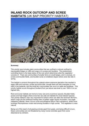 Inland Rock Outcrop and Scree Habitats (Uk Bap Priority Habitat)