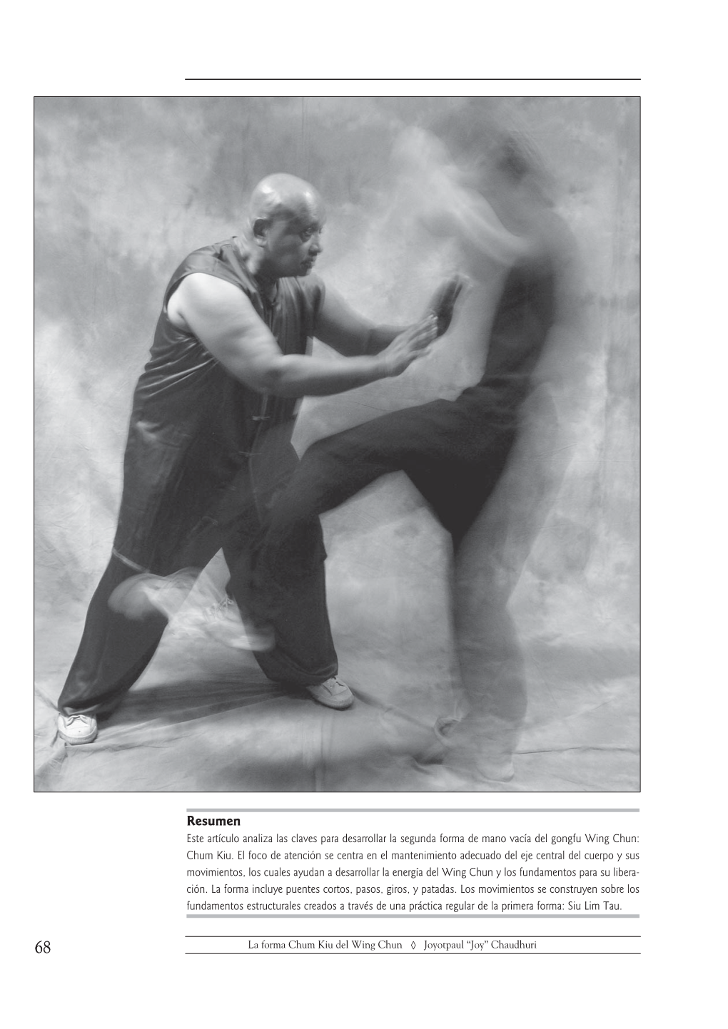 La Forma Chum Kiu Del Wing Chun Un Estudio Sobre La Estabilidad Y La Movilidad